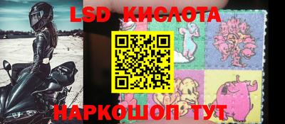 шишки Будённовск