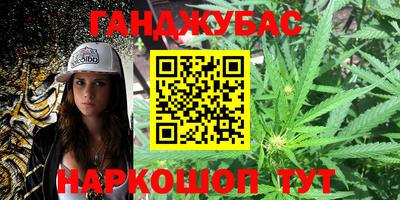 шишки Будённовск