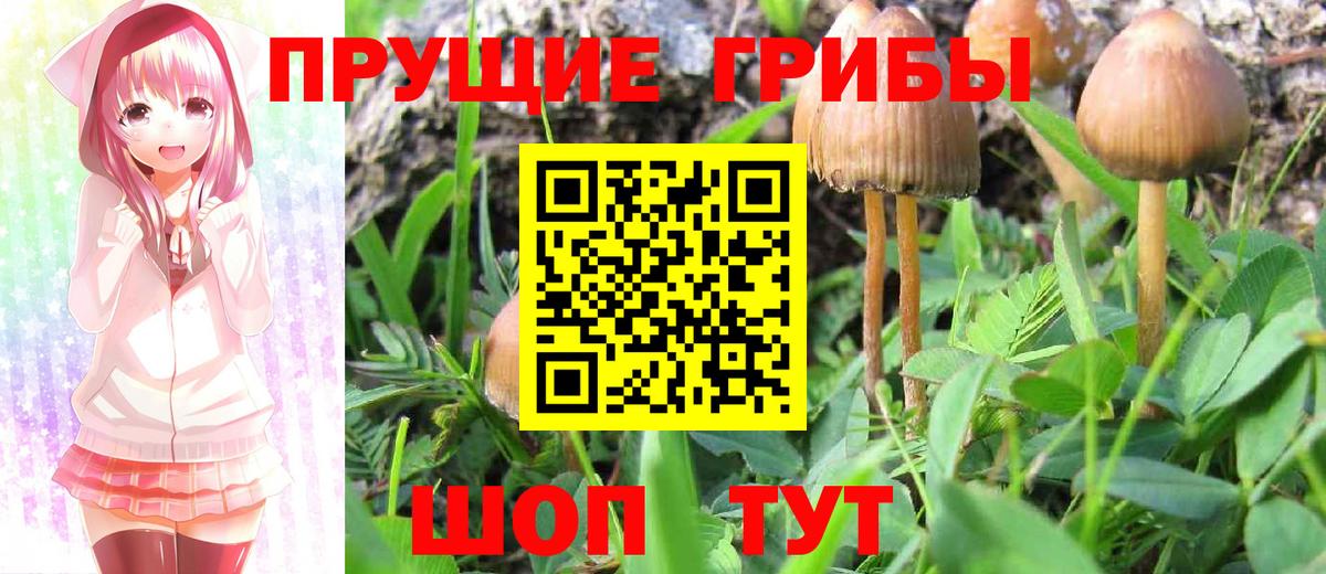 Псилоцибиновые грибы Magic Shrooms  Псилоцибиновые грибы мицелий  Вход с VPN  Котовск 