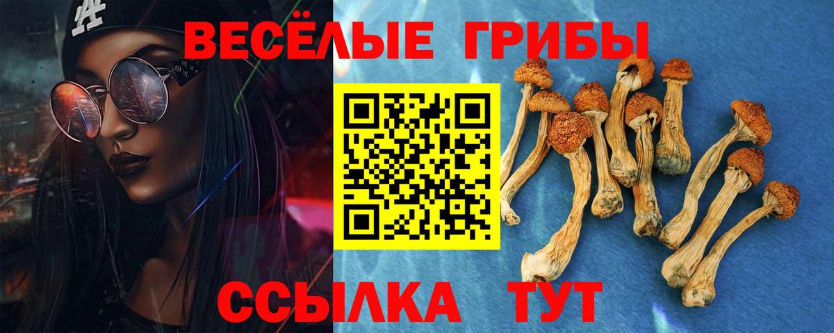 Галлюциногенные грибы Magic Shrooms Котовск